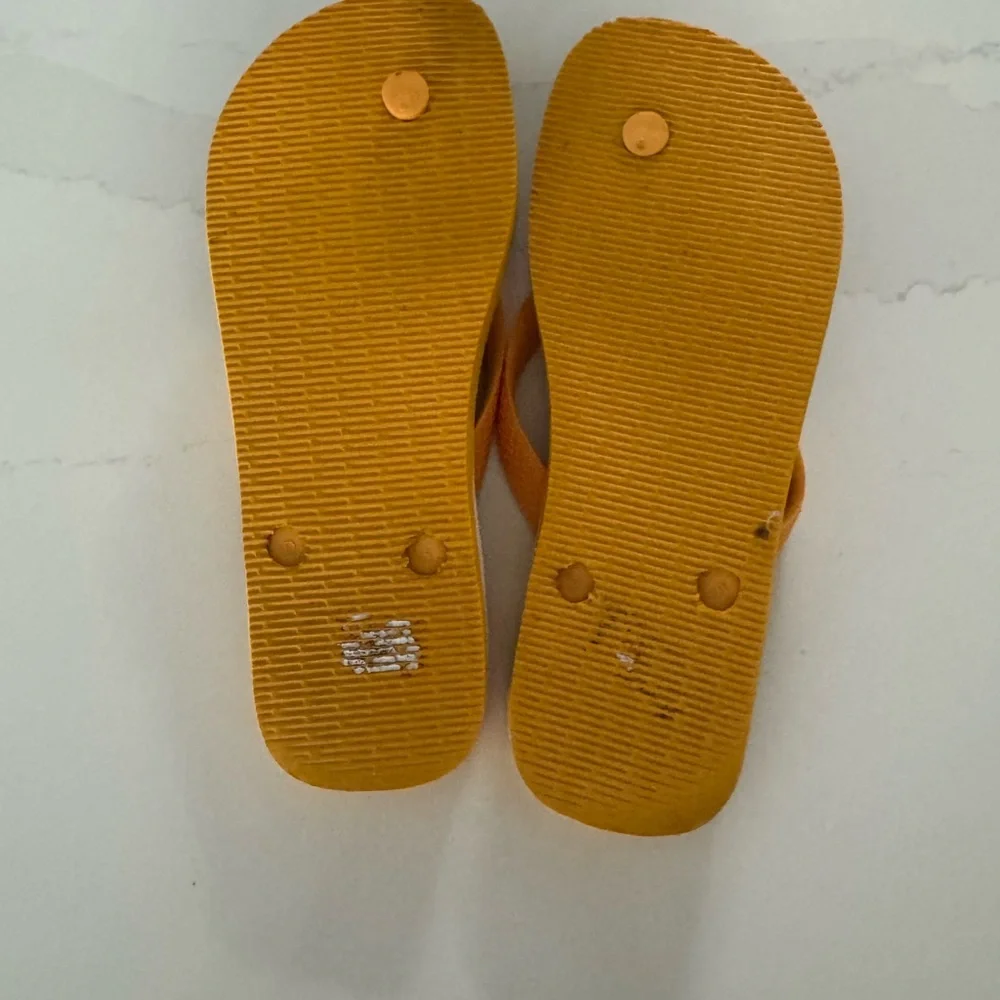 Havaianas Flip Flops